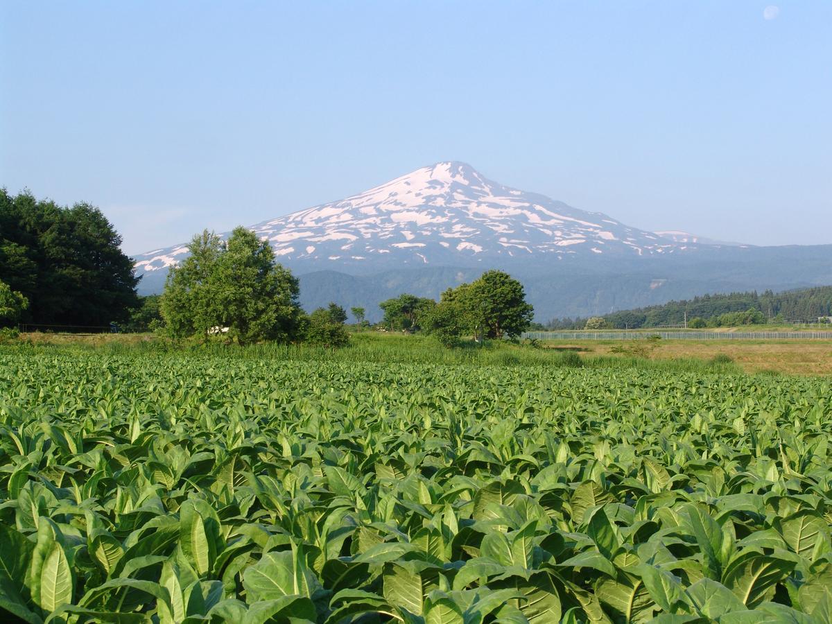 Chokai Sarukuraonsen Hotel Foresta Chokai Yurihonjo Екстериор снимка