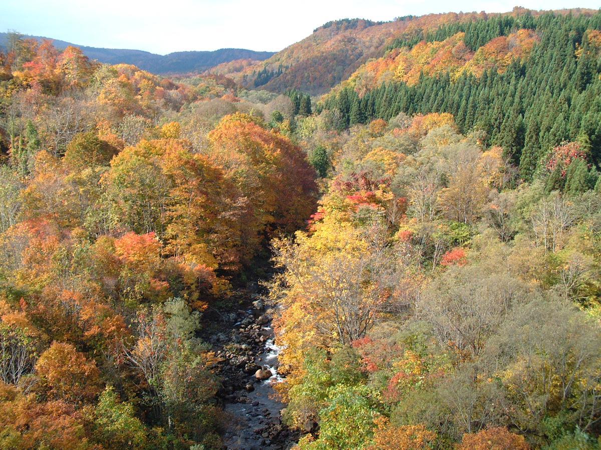 Chokai Sarukuraonsen Hotel Foresta Chokai Yurihonjo Екстериор снимка